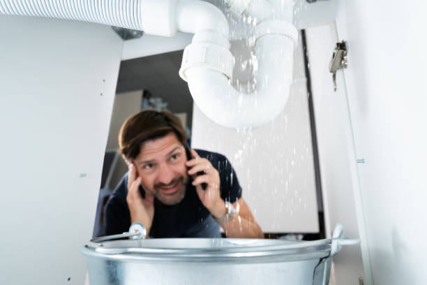 Best Commercial Plumbing Services  in Pine Island Center, FL
